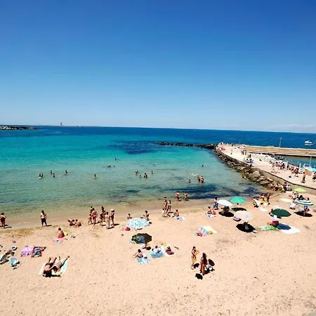 Elamar